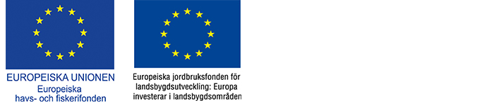 Logotyp för europeiska unionen - Europeiska havs- och fiskerifonden samt jordbruksfonden för landsbygdsutveckling